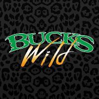 Bucks Wild Houston